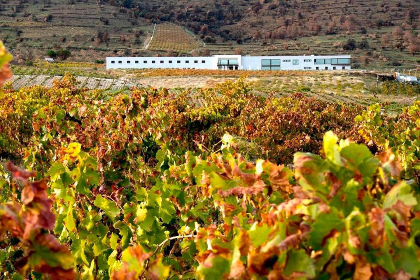 Hotel Tierras De Cebreros Exterior photo